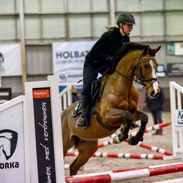 Jonge paarden opleiding - Springen